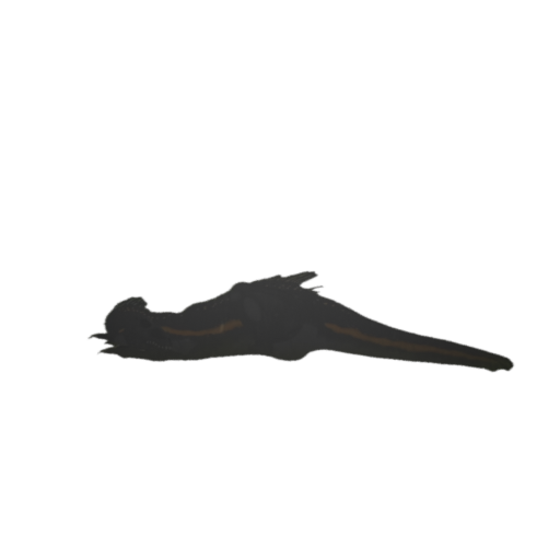 Danny the Dino Animations